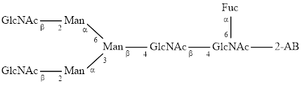 FA2 glycan (G0F), 2-AB labelled